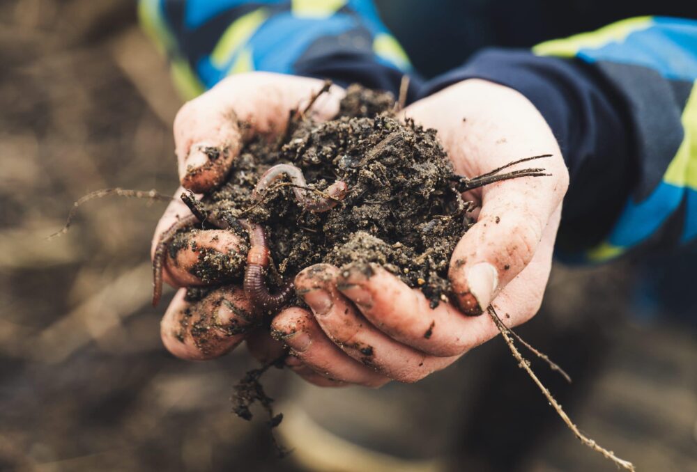 Healthy soil is the cornerstone in keeping the rest of the systems functioning by cycling through nutrients and elements.