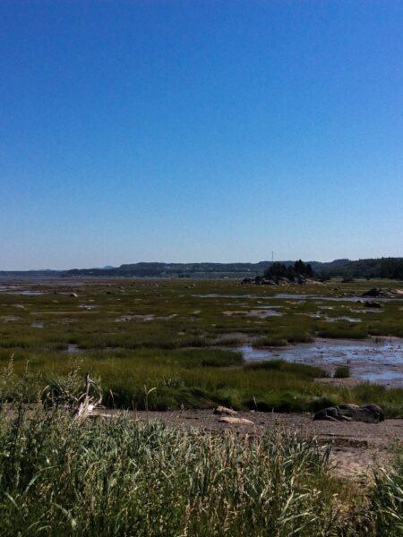 First phase of mapping the Lower St. Lawrence Wetlands is now complete