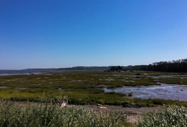 First phase of mapping the Lower St. Lawrence Wetlands is now complete