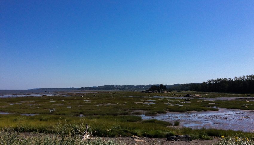 First phase of mapping the Lower St. Lawrence Wetlands is now complete