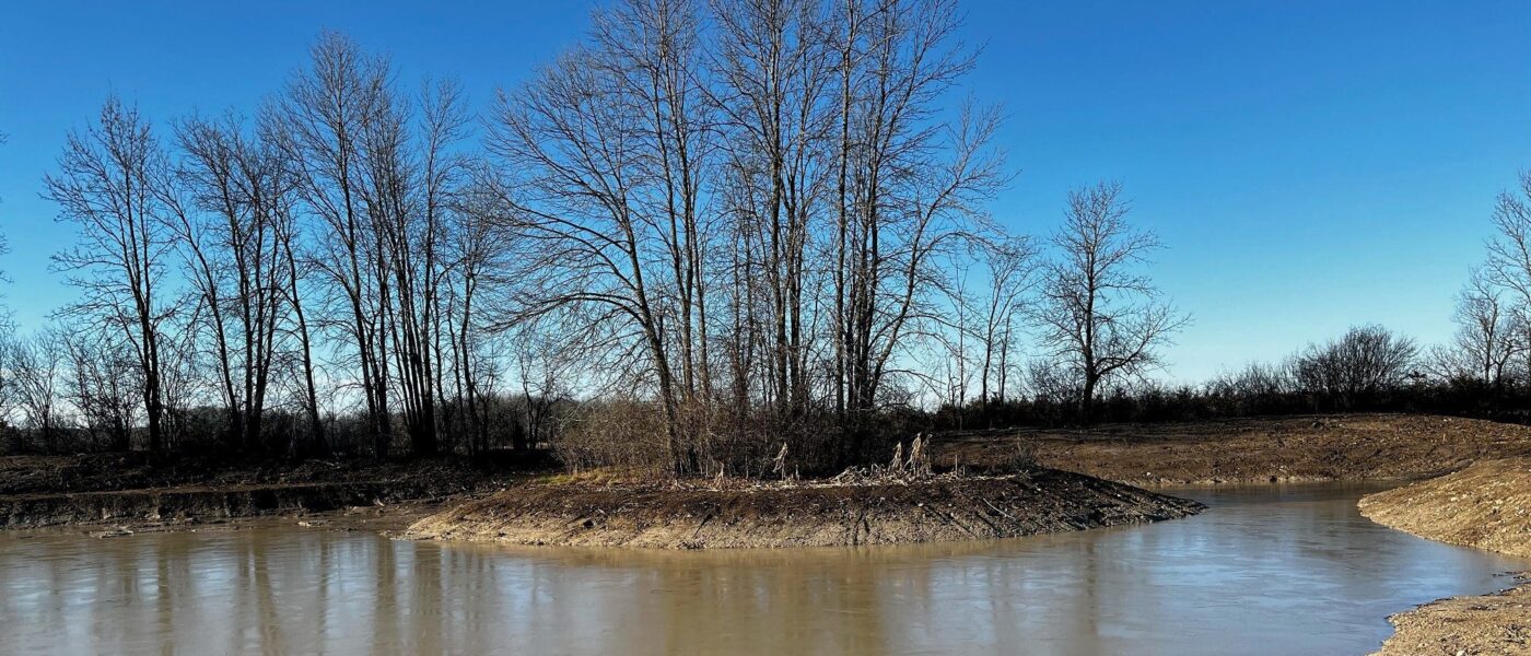 Post-construction phase of new small wetland with sculpted basin (Prince Edward County, Ontario)