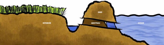Dikes are walls constructed to stop salt water from entering salt marshes. An aboiteau is a tunnel with a flap built into the dike. At low tide, the flap opens to allow freshwater to drain from the land to the ocean. At high tide, the flap closes to prevent ocean water from coming in.