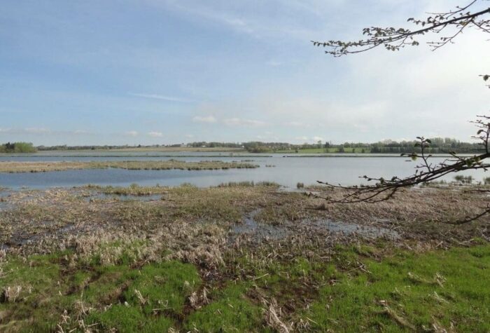 Fullerton Marsh, a salt marsh in PEI restored by DUC to slow erosion caused by sea-level rise.