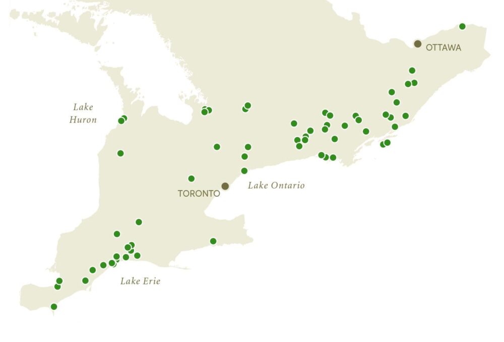 The 60 wetland projects in the Wetlands Conservation Partner Program for 2021 will provide an estimated $4.2 million in avoided flood damages. Each hectare will sequester up to 2,900 kilograms of phosphorus and 154,000 kilograms of nitrogen every year.