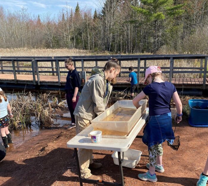 Corbett Brook activity