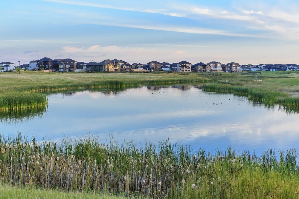 Saskatoon’s Hyde Park will serve as the outdoor classroom for students at Colette Bourgonje School, DUC's newest Wetland Centre of Excellence