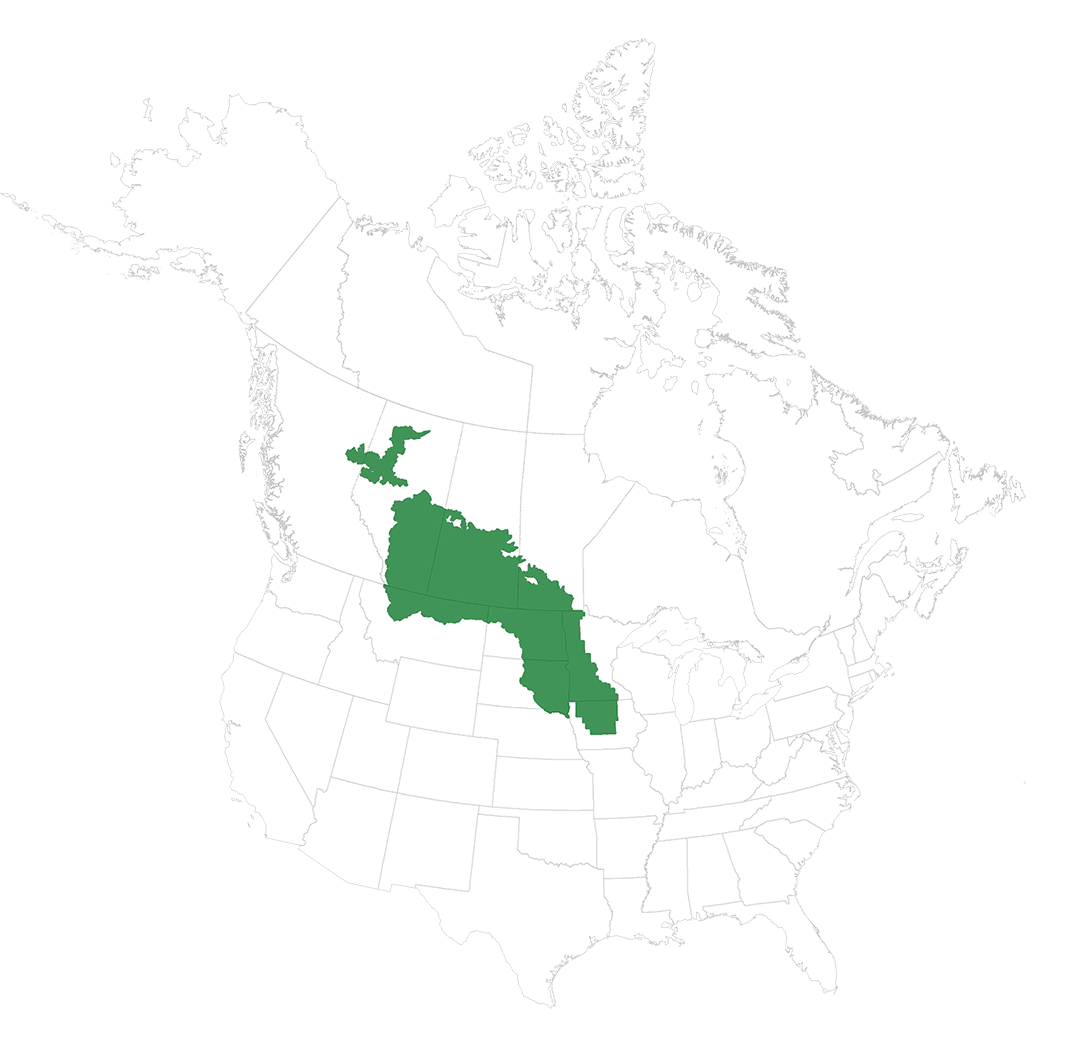 Prairie pothole region map