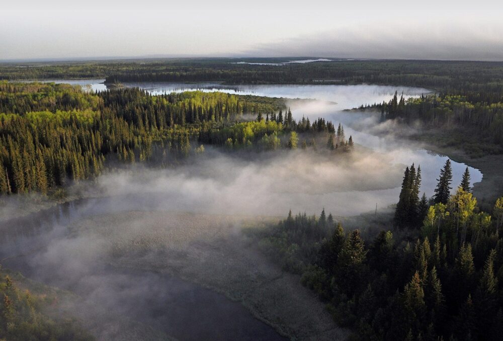 Aerial shot of the boreal 