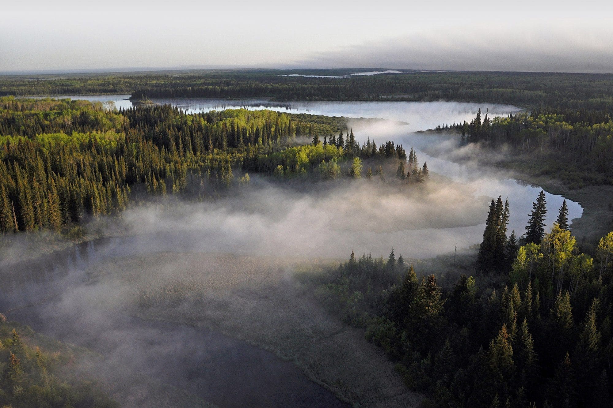 Partnerships move conservation forward in the boreal forest — Ducks  Unlimited Canada