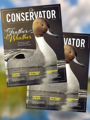 Subscribe to Conservator magazine