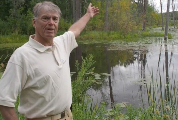 Quiet marshes keep flightless waterfowl safe in summer