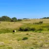 Hay for Tender: Manitoba