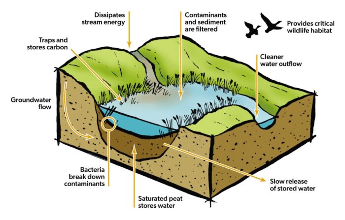 Natural infrastructure