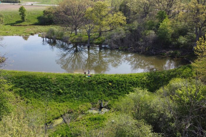 Ontario wetland 