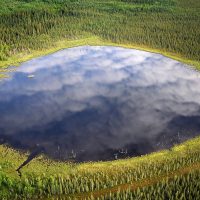 The improbable world of Canada’s peatlands