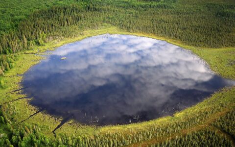 The improbable world of Canada’s peatlands