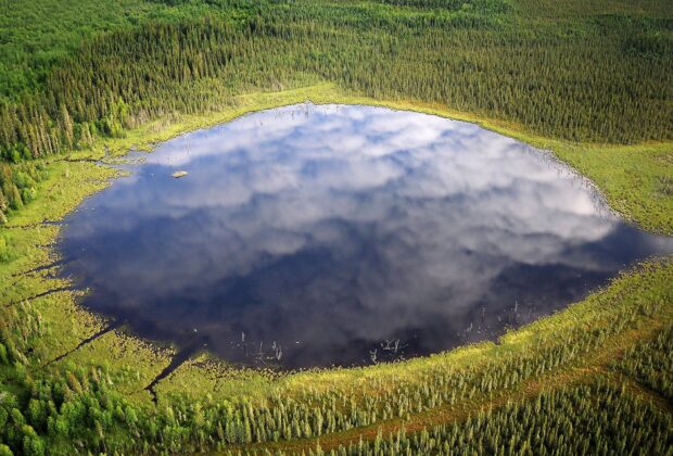 The improbable world of Canada’s peatlands