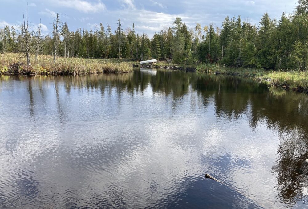 Willetts Woods is on the North Bruce Peninsula near the shores of Lake Huron.