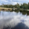 Restoring habitat, restoring nature