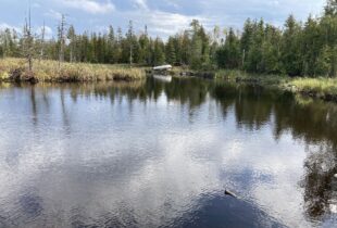 Restoring habitat, restoring nature