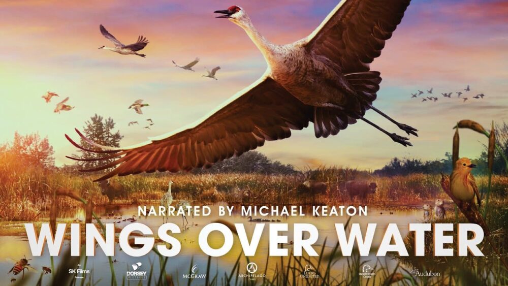 The Wings Over Water film follows the migratory journeys of three bird species that make remarkable flights to the wetlands of North America’s prairies. 