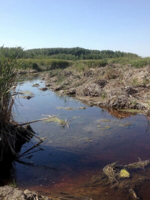 Agricultural drainage ditches