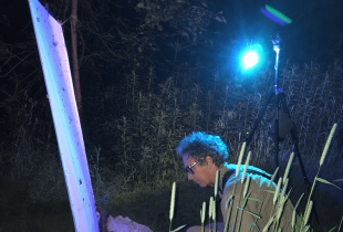 Mothing is a must for nature lovers