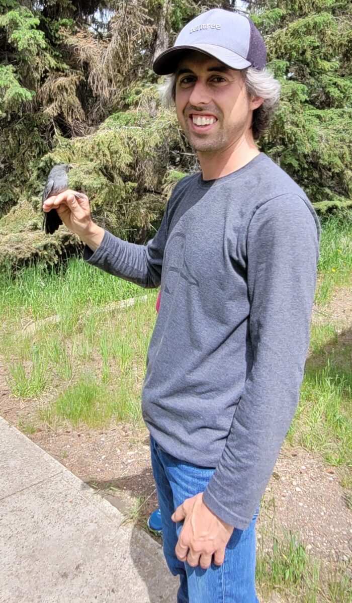 Jared Clarke has banded over 16,000 birds since 2006, including this gray catbird!