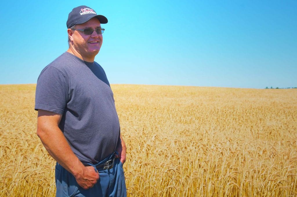 Medora farmer David Van Mackelbergh is a first-time winter wheat grower (photo DUC)