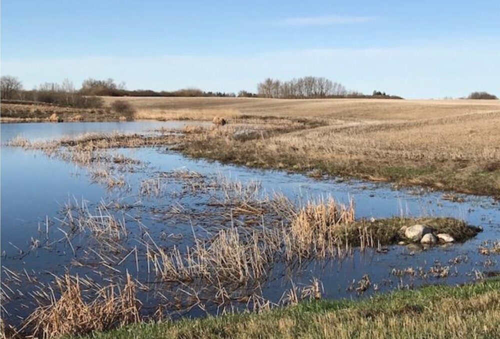 Wetlands were mostly fully recharged on Anderson's visit this spring.