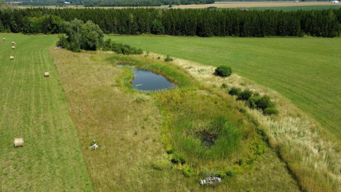 The restored wetland and upland habitat at Shotyk Farm in Elmvale, Ont.