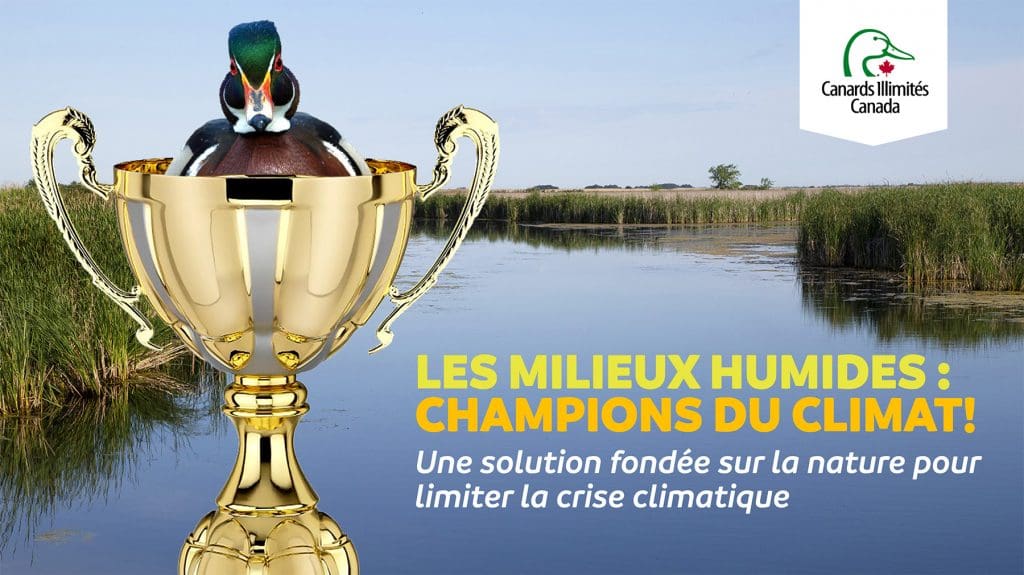 Les milieux humides champions du climat! Présentation- 120$