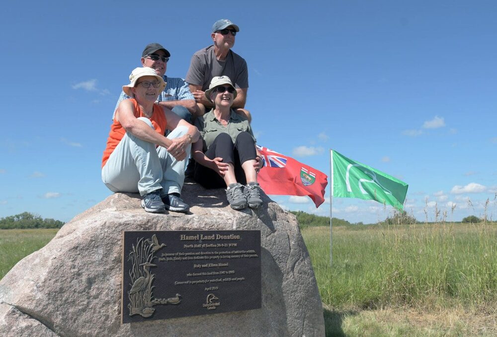 (from left) Barb Saylor, Bob Hamel, Sandra Kirkup and Donald Hamel climb the rock they played on as kids at the Hamel land donation ceremony
