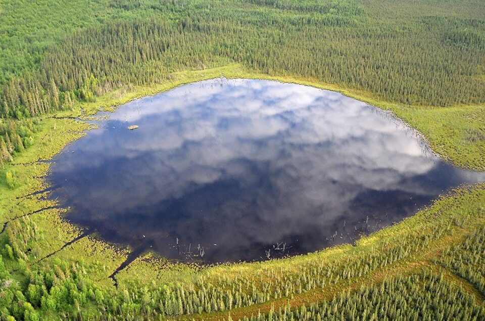 Boreal wetland scenic.