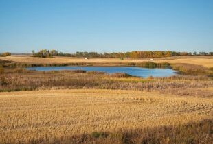 Wetlands as nature-based climate-change solutions
