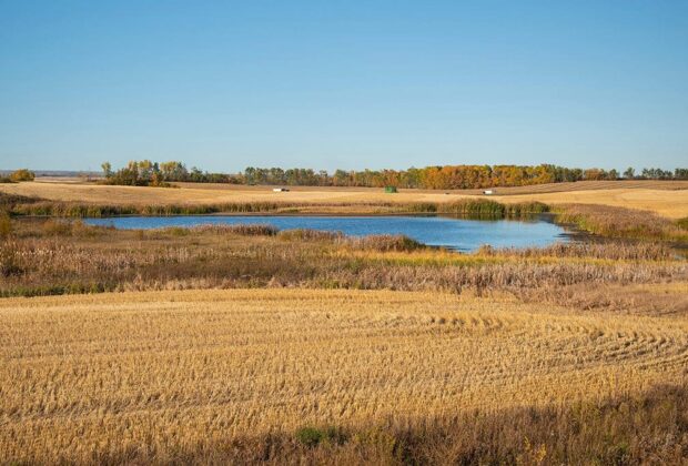 Wetlands as nature-based climate-change solutions