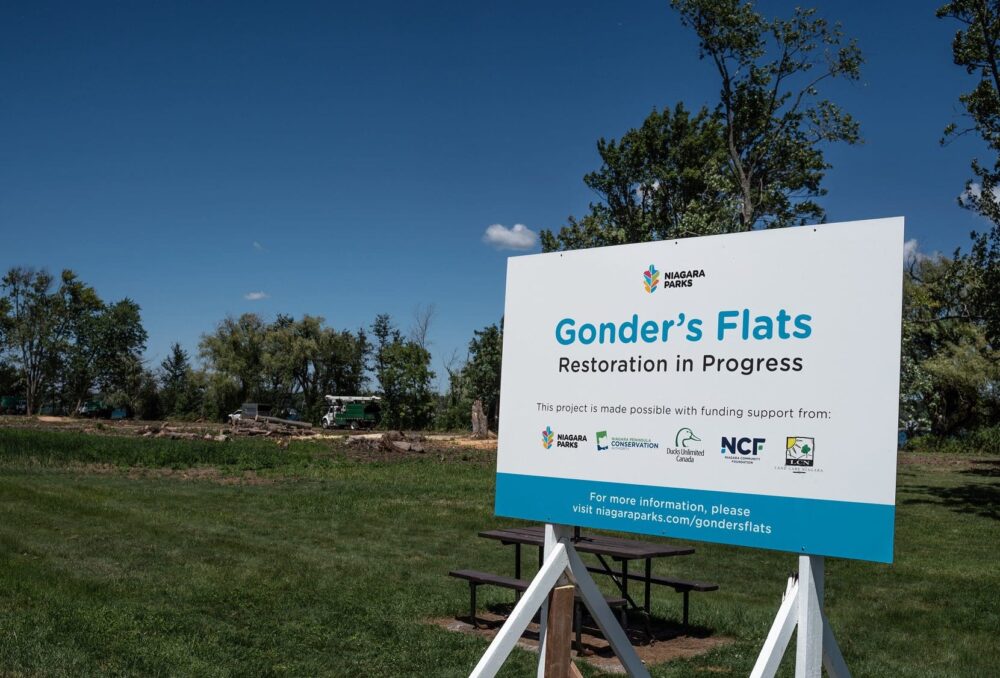 Niagara Parks and its partners, including DUC, are establishing a coastal wetland at Gonder’s Flats near Fort Erie.