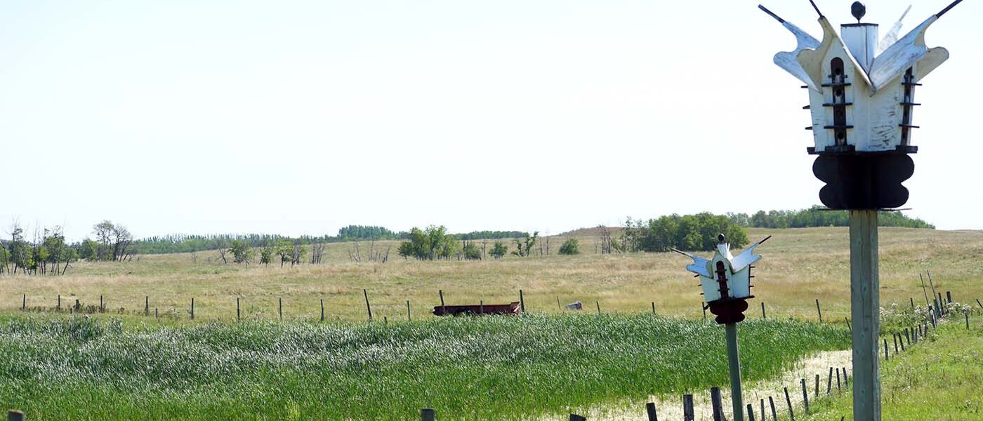 The O'Greyik's property near Elkhorn is teeming with pothole marshes and the wildlife those wetlands support.