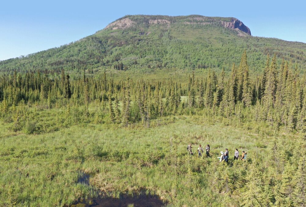 DUC and Dane nan yé dāh Kaska Land Guardians surveying roadside wetlands. 