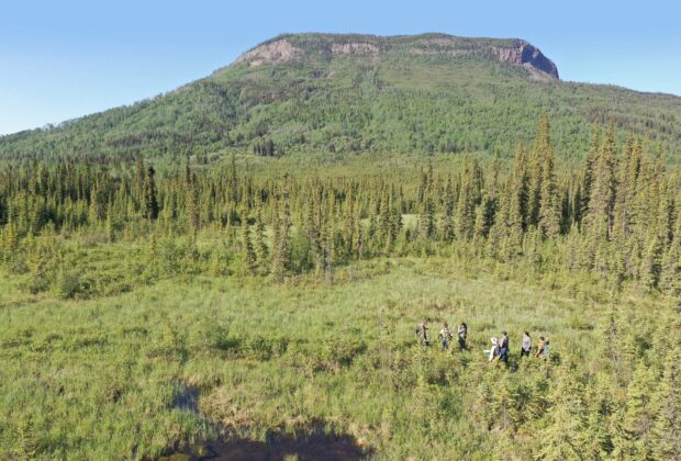 Wetland mapping to support Indigenous-led conservation in northern B.C.