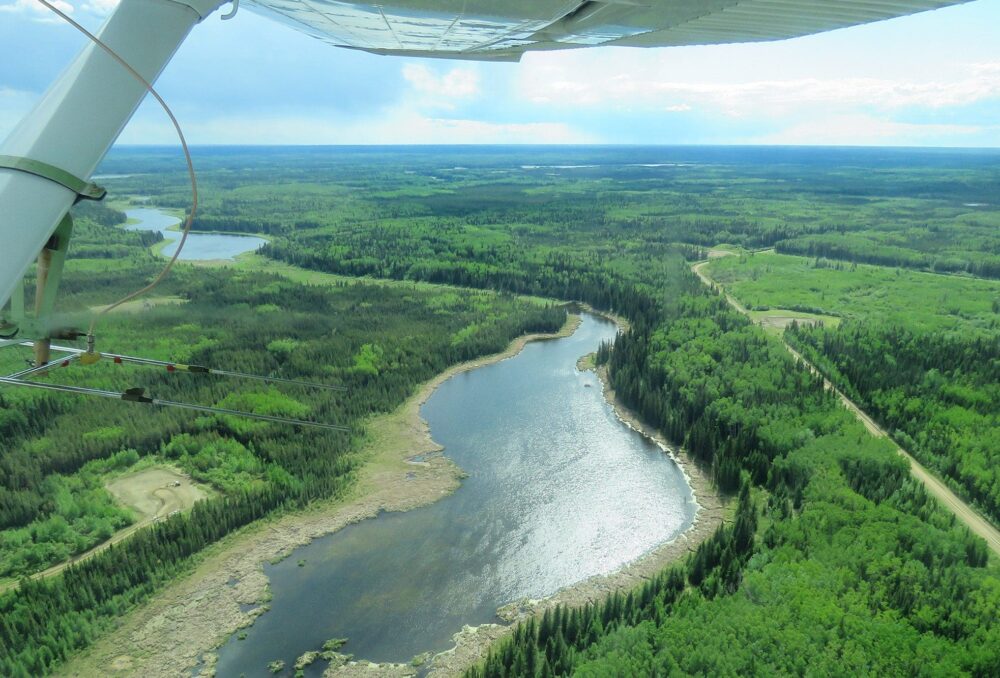 DUC research in the boreal zone improves conservation delivery by evaluating behavioural and demographic responses of waterfowl to landscape changes including roads and seismic lines.