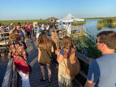 birds-and-beer-flights