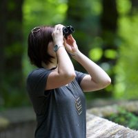It’s sky-gazing season: Celebrate birding in canada