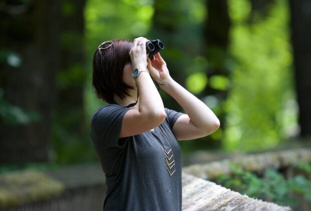 It’s sky-gazing season: Celebrate birding in canada