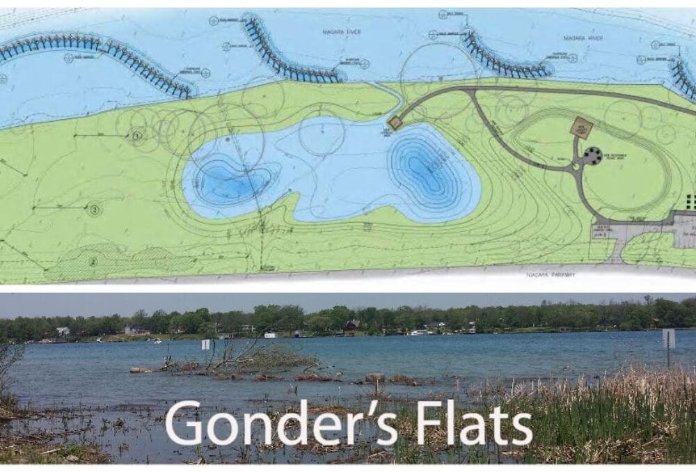 Wetland restoration can reverse the downward trend of habitat loss and even turn it around to a net gain on the landscape.