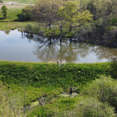 Wetlands are a natural remedy for Canada’s sick lakes