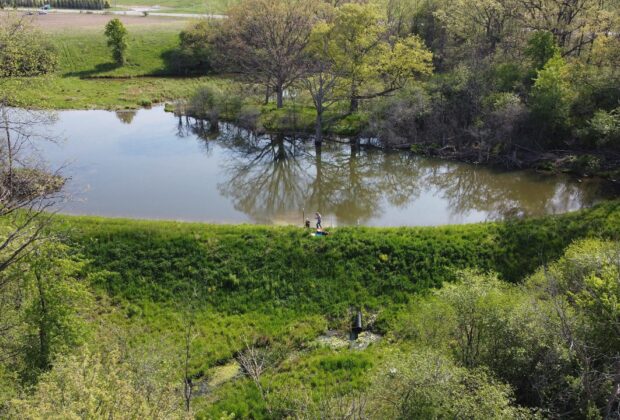 Wetlands are a natural remedy for Canada’s sick lakes