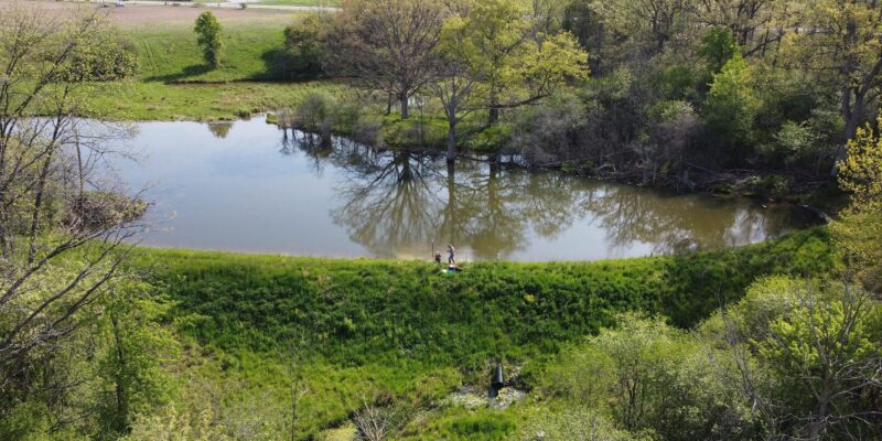 Wetlands are a natural remedy for Canada’s sick lakes