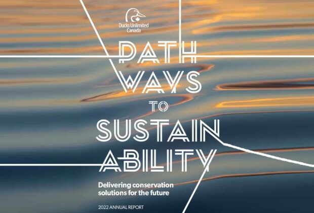2022 Annual Report: Pathways to Sustainability