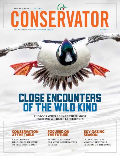Conservator Magazine